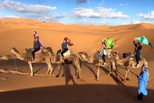 Inconceivable Camel Excursion