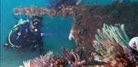 Dubai Travel And Tours