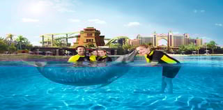 Two Tank Shipwreck Diving Experience At Fujairah