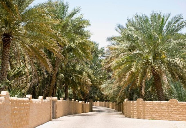 10.	 Al Ain Oasis