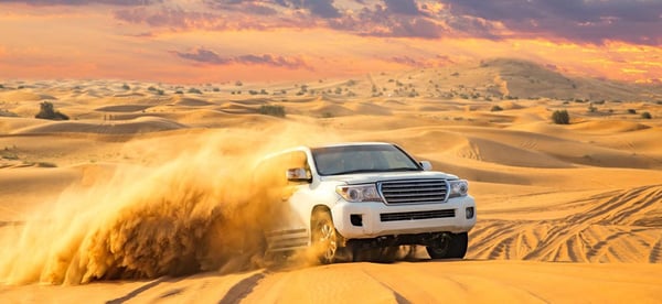 Al Ain City Tour - Private Tour