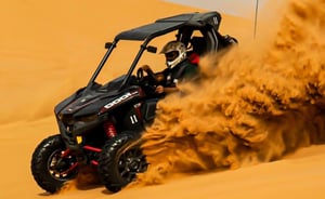 Polaris Rzr R Begie 1 Seater