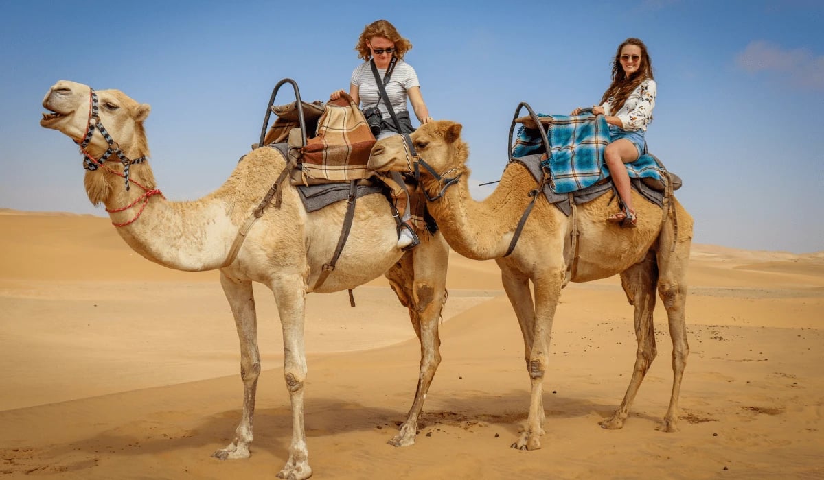 Where To Ride Camels In Dubai?