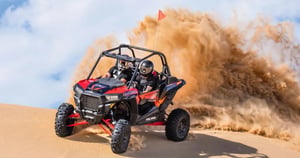 Polaris Rzr R Begie 2 Seater