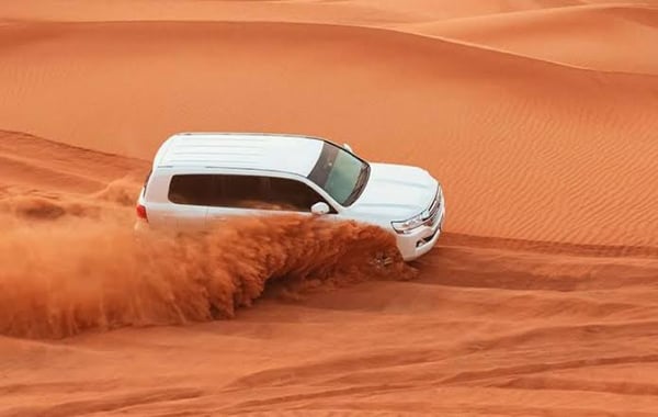 Red Dunes 9