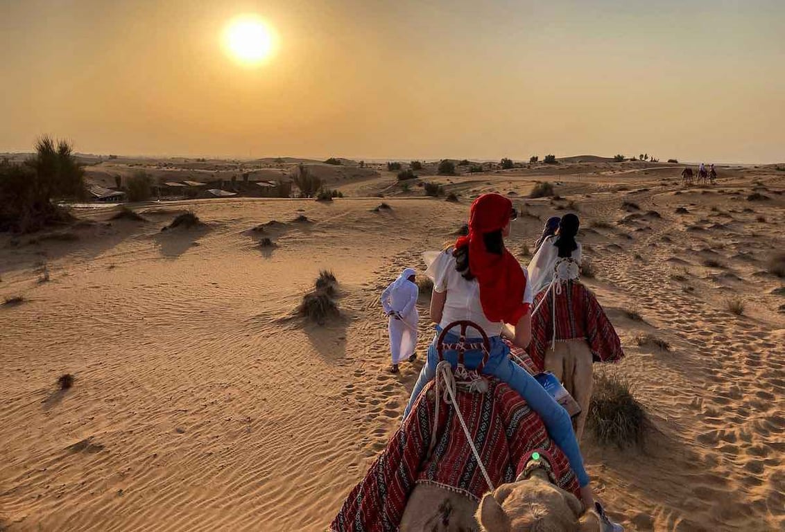 Early In The Day Or Late At Night Are The Ideal Times To Go A Safari In The Dubai Desert