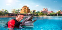 Dubai Travel And Tours
