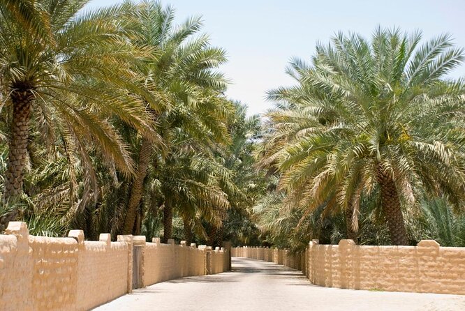 Tour The Eco-Centre At Al Ain Oasis Dubai