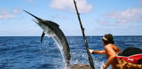 Dubai Travel And Tours