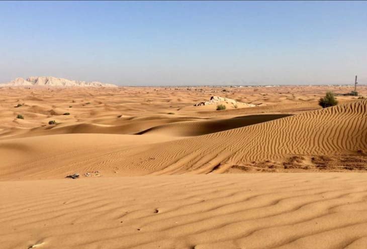 Picking The Best Family Desert Safari In Dubai