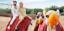 Evening Safari Dubai 4 Hours Private Tour Up-to 6 People