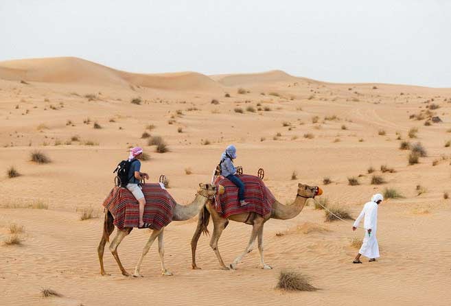 Highlights Of The Camel Desert Safari Tour