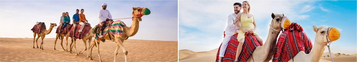 Red Dunes Desert Safari Dubai Highlights Overview overview image