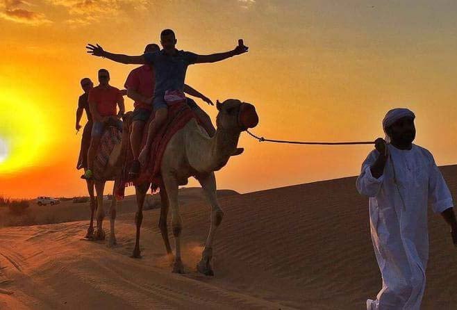 Astonishing Ride Camel safari At Desert Safari