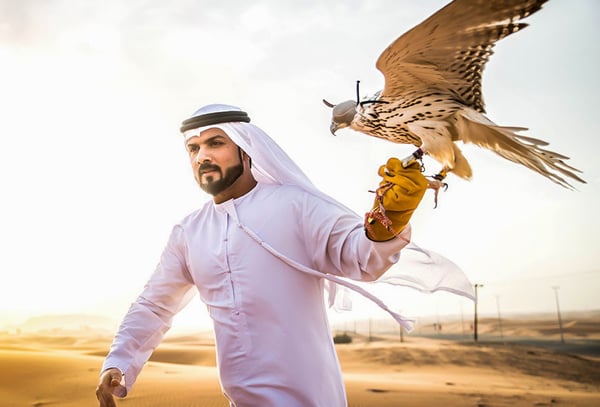 Photo with Falcon