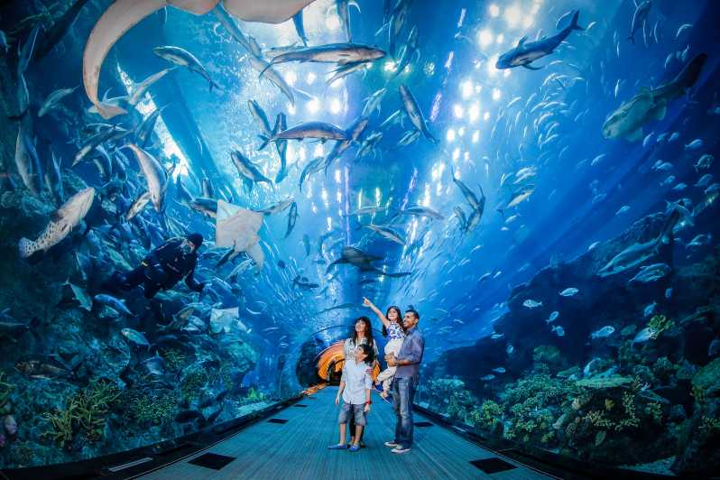 9.	The Dubai Aquarium