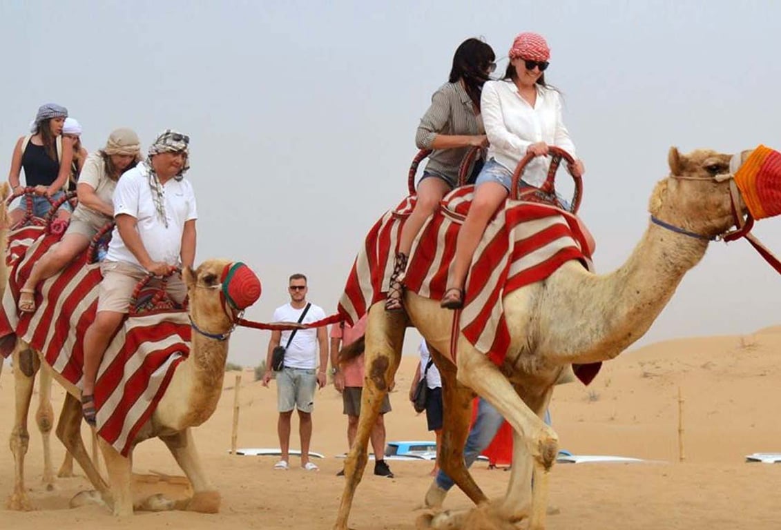 Incredible Camel Ride In Dubai