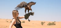 Dubai Travel And Tours