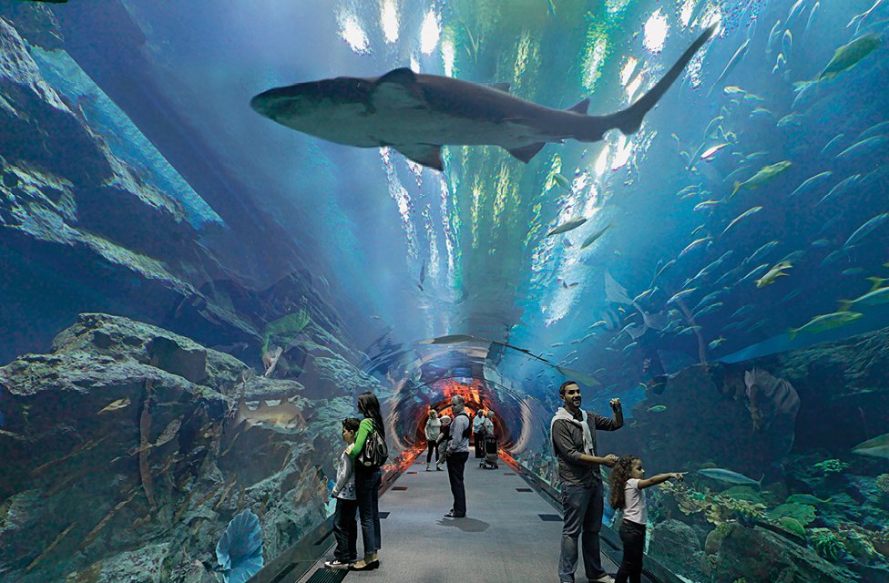 What is the disparity between Dubai Aquarium and Underwater Zoo?