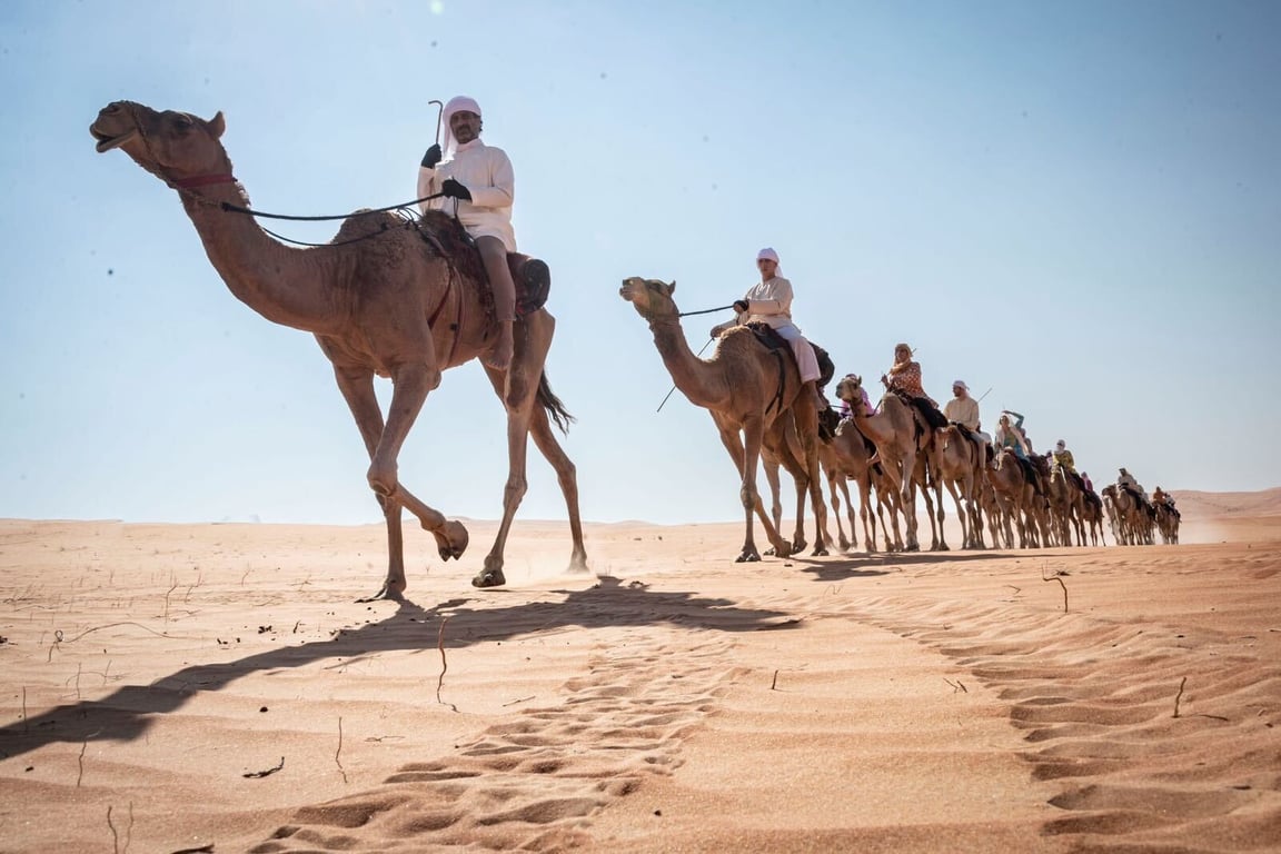Amaze Camel Traveling At Dubai