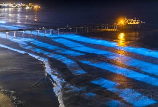 Observe The Beach Lit Up