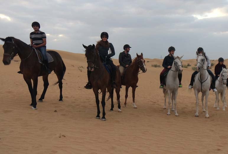 AL DHABI Horse And Camel Rental At Dubai