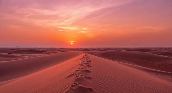 Red Dunes 3