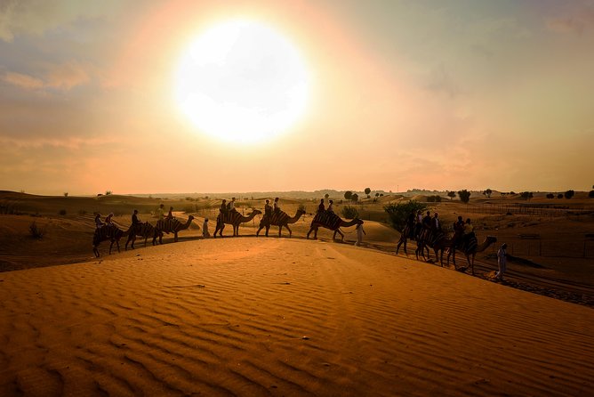 Dubai Sunset Camel Trekking
