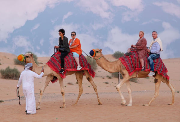 Camel Ride