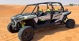 Polaris RS1 4 Seater
