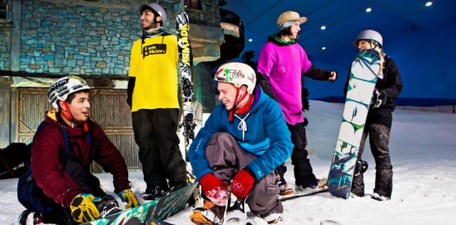 Penguin Friend Encounter 