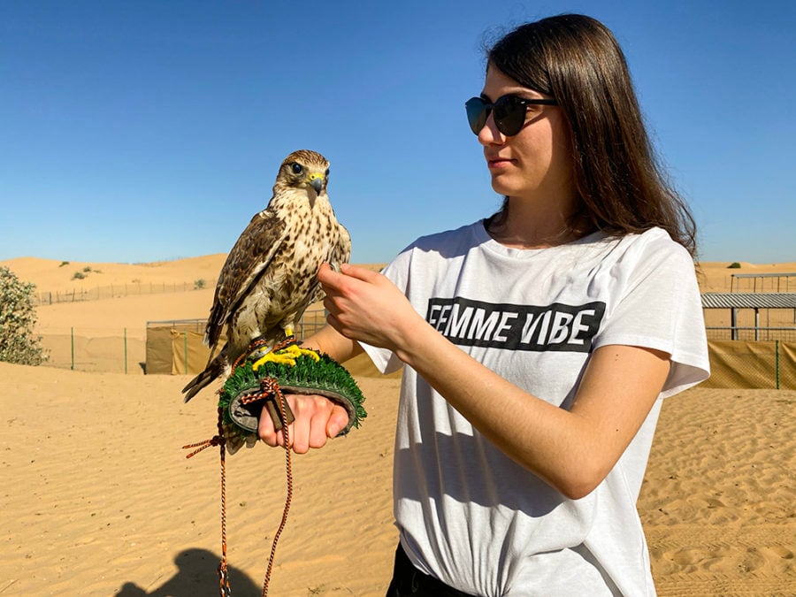 Photographed with a Falcon