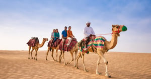 4-Hours Private Safari