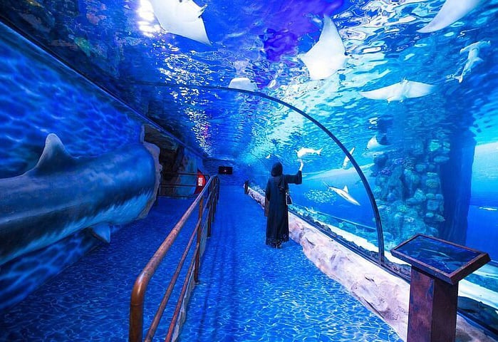 iii.	Dubai Aquarium Has The World's Largest Indoor Aquarium