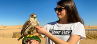 Dubai Travel And Tours