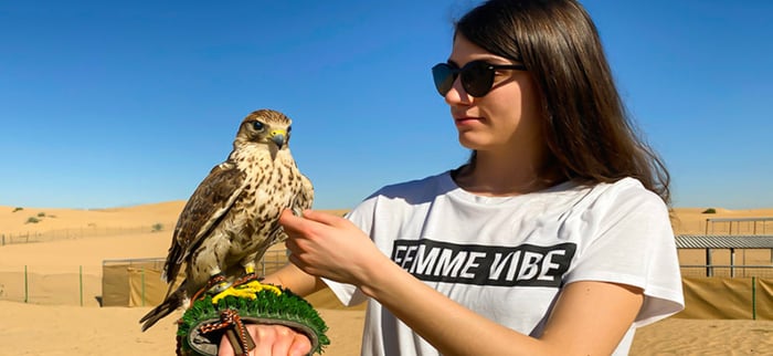 Dubai Travel And Tours