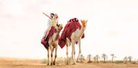 Camel Station