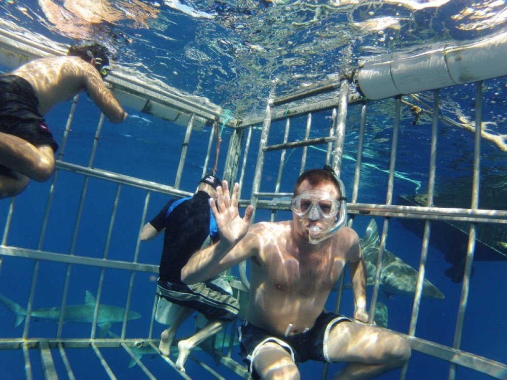Cage Snorkelling