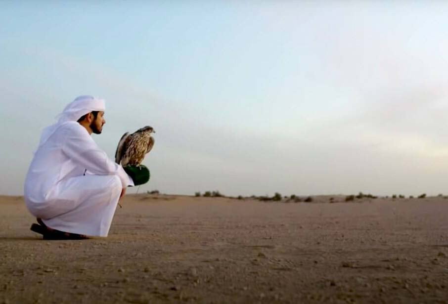 6.	Discover Falconry In The Desert