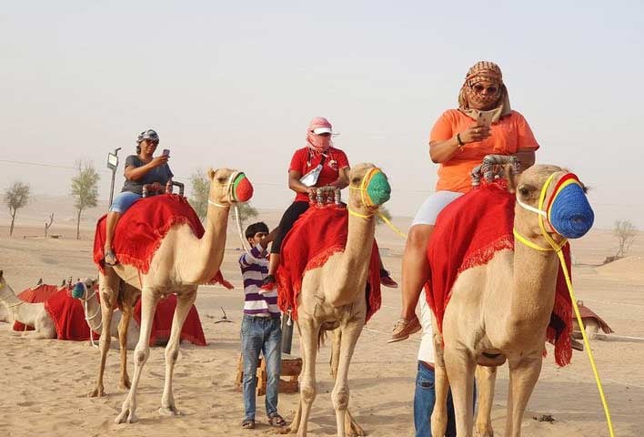 Enjoy A Camel Ride As Part Of The Desert Safari Tour: