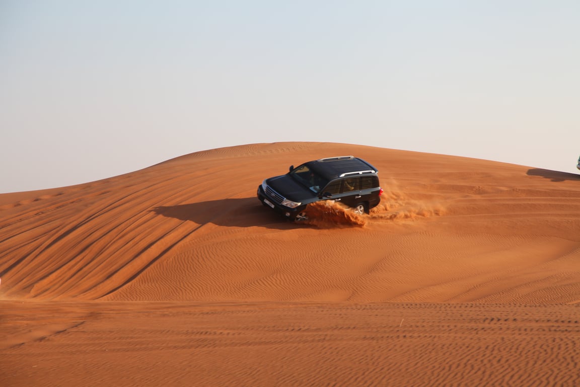 Arrival In Safari