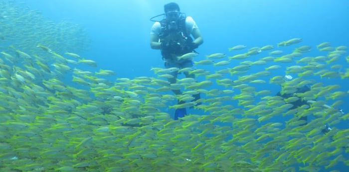 Dubai Travel And Tours