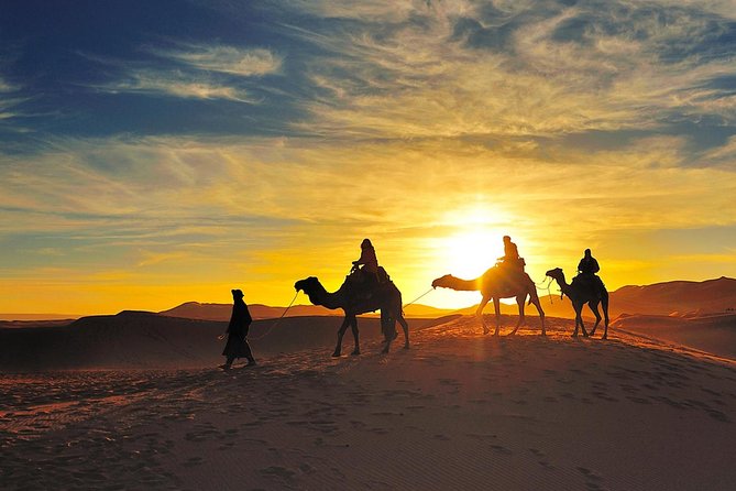 Additional Activities Includes In Sunset Camel Trekiing