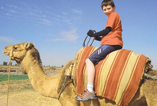 Dubai Camel Riding In The Desert At Sunset With Children