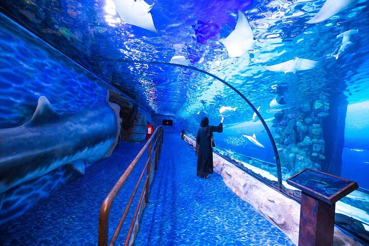 Dubai Aquarium And Underwater Zoo At Dubai Mall 2023