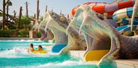 Dubai Travel And Tours