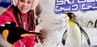 Dubai Travel And Tours