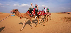 Premium Desert Safari Dubai