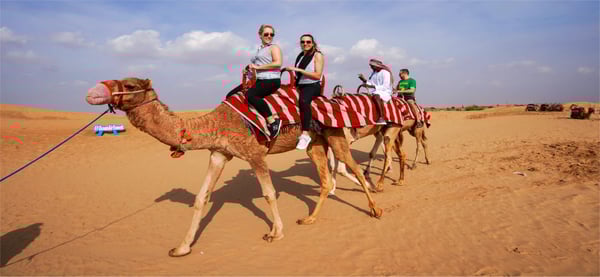 Premium Desert Safari Dubai