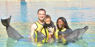 Two Tank Shipwreck Diving Experience At Fujairah